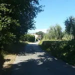 Gospodarstwo wiejskie Al Vecchio Leccio Pistoia