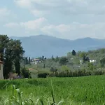 Al Vecchio Leccio * Pistoia