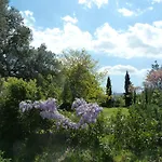 Al Vecchio Leccio