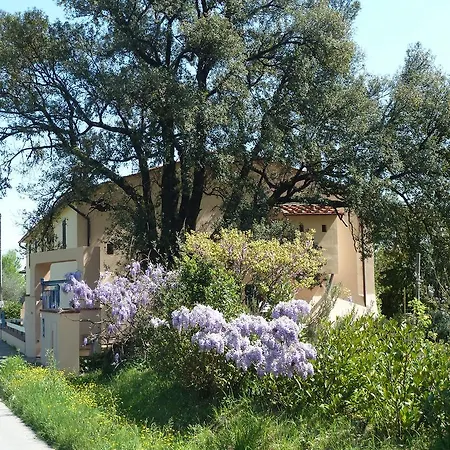 Al Vecchio Leccio Pistoia