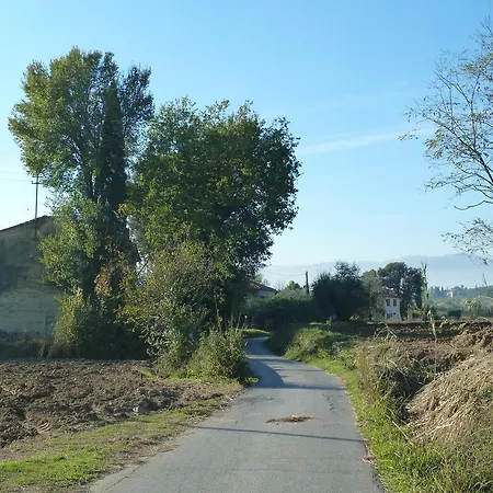 Al Vecchio Leccio Pistoia