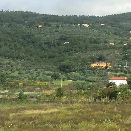 Gospodarstwo wiejskie Al Vecchio Leccio