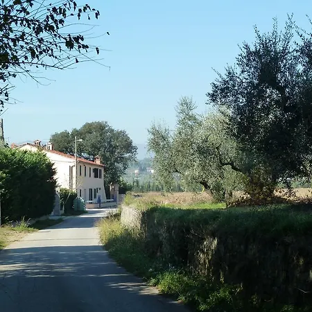 Al Vecchio Leccio Pistoia