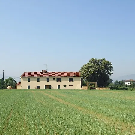 Al Vecchio Leccio *