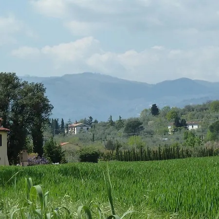 Al Vecchio Leccio * Pistoia