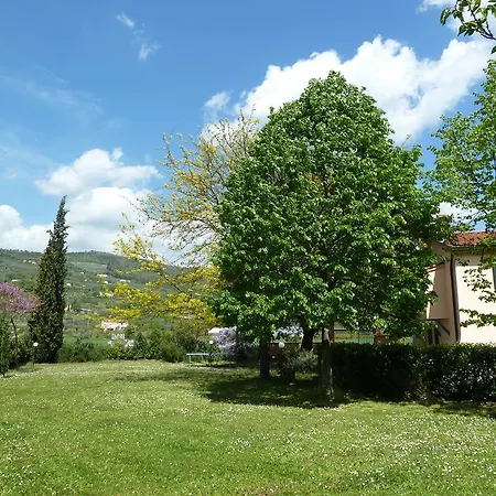 Al Vecchio Leccio * Pistoia