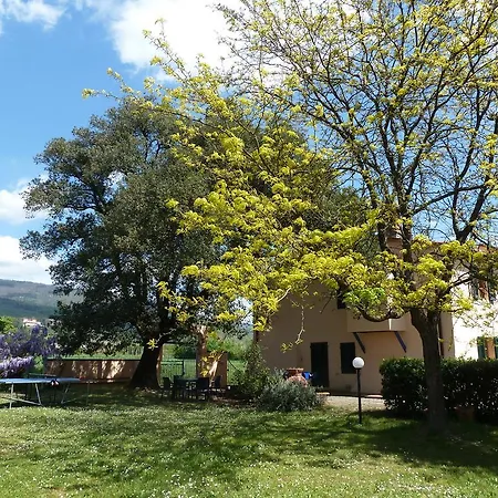 Al Vecchio Leccio