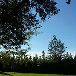 Al Vecchio Leccio Πιστόια