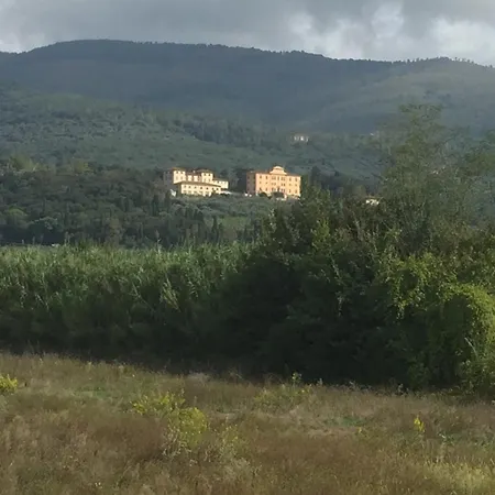 Al Vecchio Leccio Pistoia