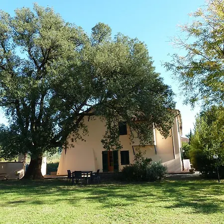 Al Vecchio Leccio Casa rural *