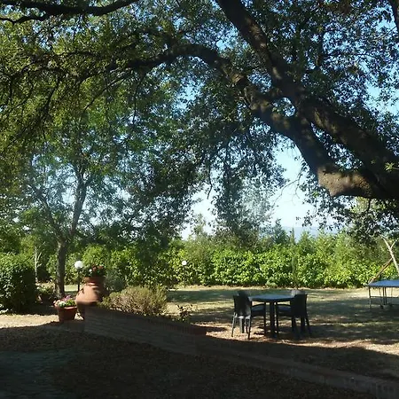 Al Vecchio Leccio Kır Evi