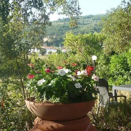 Al Vecchio Leccio Casa di campagna