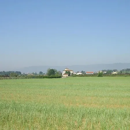 Al Vecchio Leccio Casa di campagna *