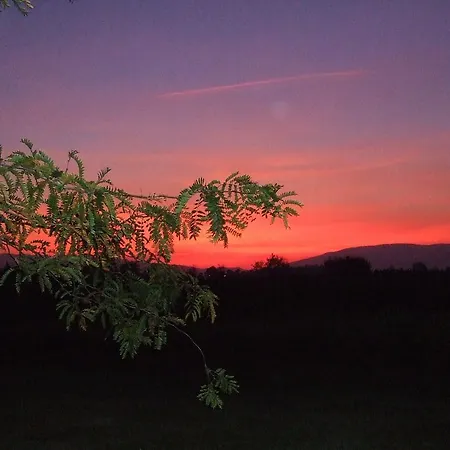 Al Vecchio Leccio * Pistoya