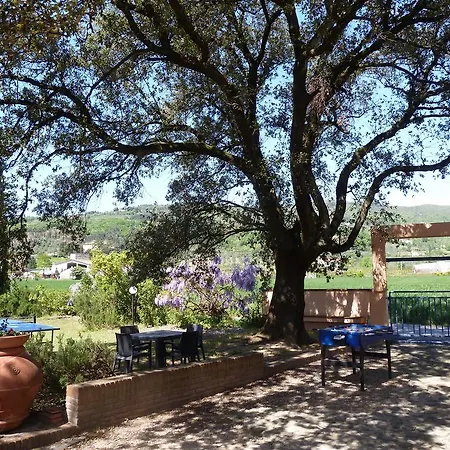 Al Vecchio Leccio Country house