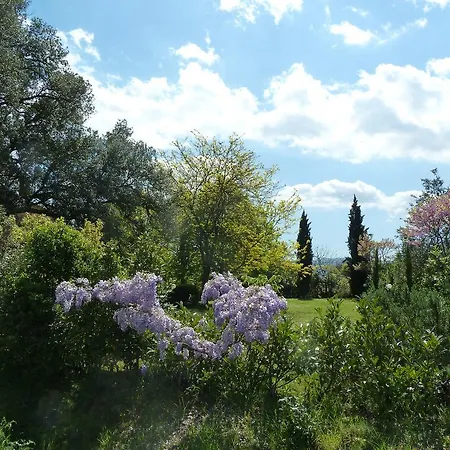 Al Vecchio Leccio
