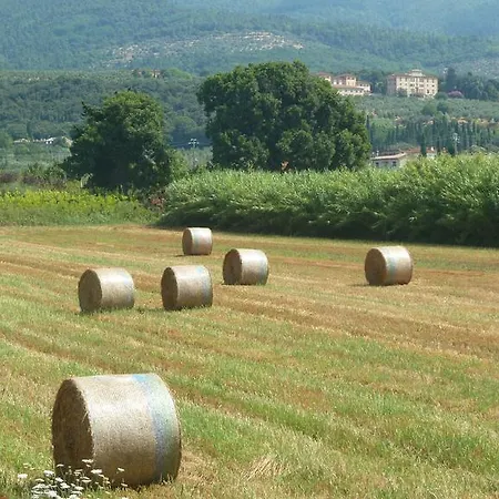 Al Vecchio Leccio Casa de Campo Pistoia