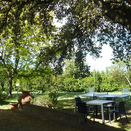 Al Vecchio Leccio * Pistoia