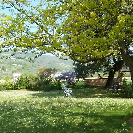 Al Vecchio Leccio Pistoia