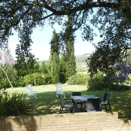 Al Vecchio Leccio Pistoia