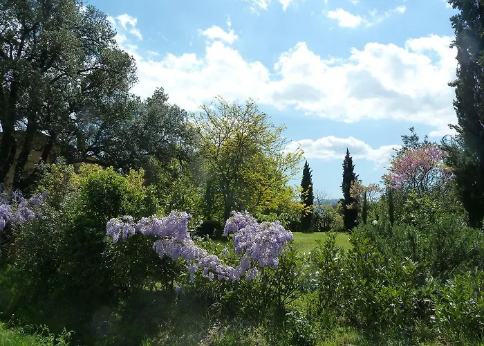 Al Vecchio Leccio